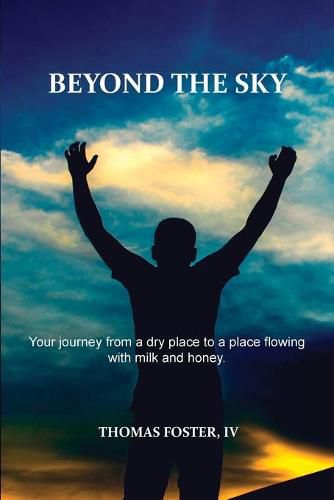 Cover image for Beyond the Sky