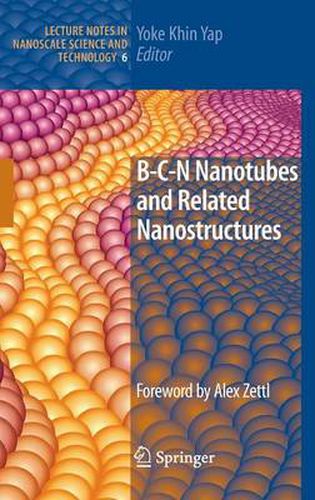 Cover image for B-C-N Nanotubes and Related Nanostructures