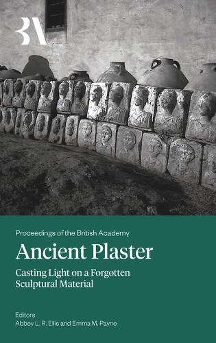 Cover image for Ancient Plaster 2025