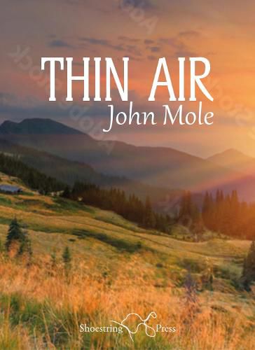 Cover image for Thin Air