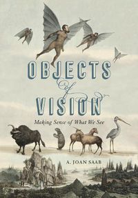 Cover image for Objects of Vision: Making Sense of What We See