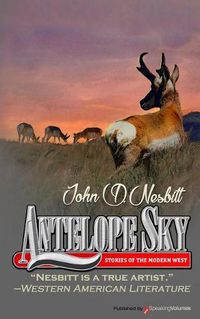 Cover image for Antelope Sky