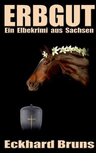Cover image for Erbgut: Ein Elbekrimi aus Sachsen