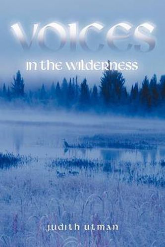 Cover image for Voices in the Wilderness