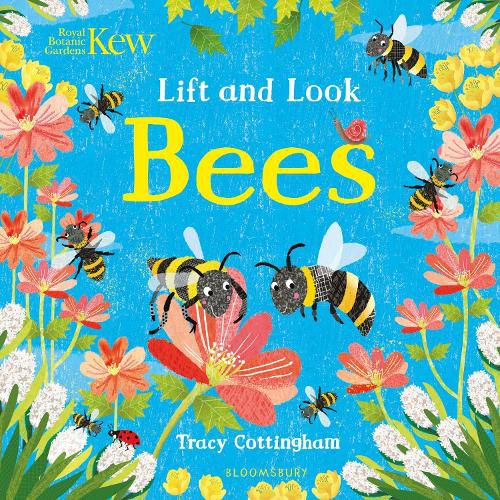 Cover image for Kew: Lift and Look Bees