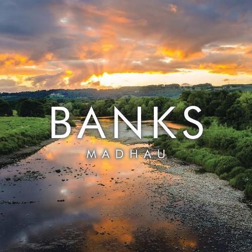 Cover image for Banks