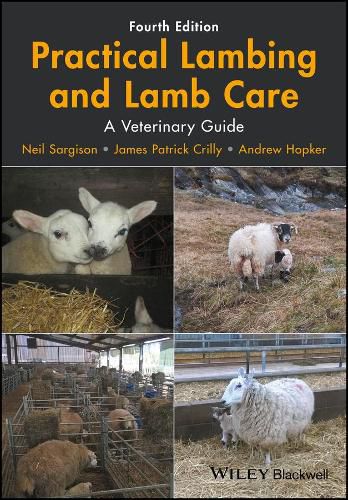 Cover image for Practical Lambing and Lamb Care - A Veterinary Guide