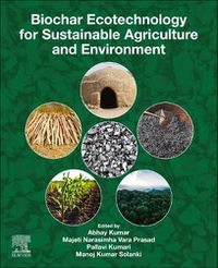 Cover image for Biochar Ecotechnology for Sustainable Agriculture and Environment