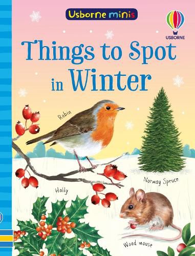 Cover image for Things to Spot in Winter