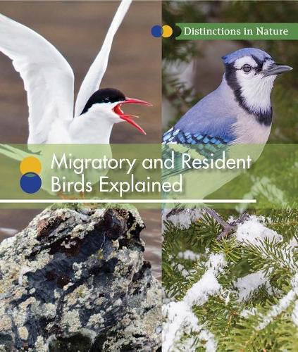 Migratory and Resident Birds Explained