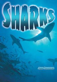 Cover image for Sharks