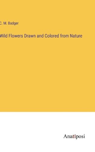 Cover image for Wild Flowers Drawn and Colored from Nature