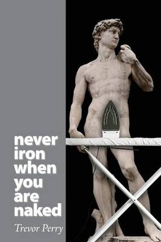 Cover image for Never Iron When You Are Naked