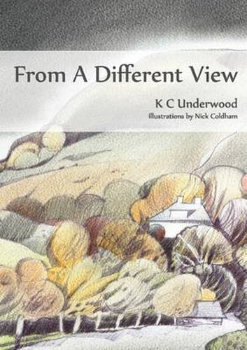 Cover image for From a Different View