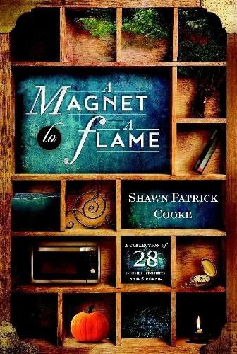 Cover image for A Magnet to a Flame