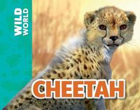 Cover image for Cheetah