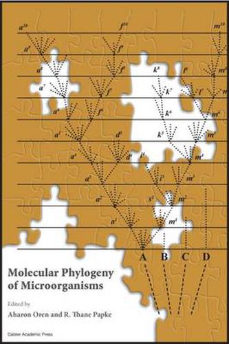 Cover image for Molecular Phylogeny of Microorganisms