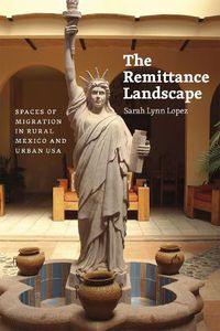 Cover image for The Remittance Landscape