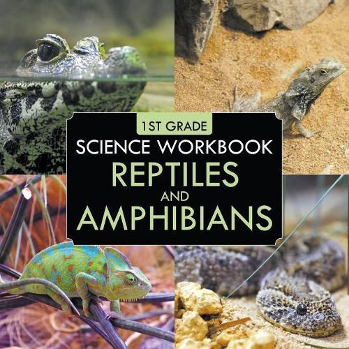 Cover image for 1st Grade Science Workbook: Reptiles and Amphibians