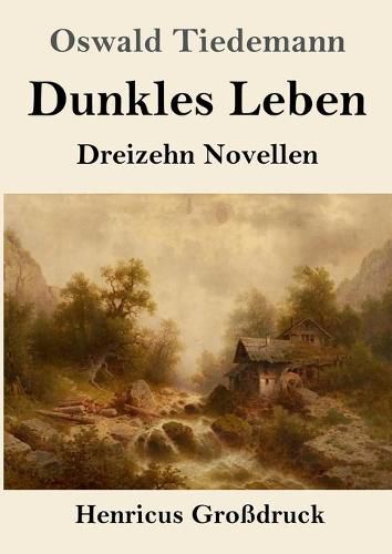 Cover image for Dunkles Leben (Grossdruck): Dreizehn Novellen