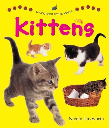 Cover image for Say and Point Picture Boards: Kittens