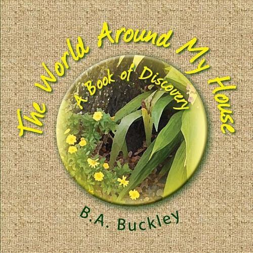 Cover image for The World Around My House: A Book of Discovery!