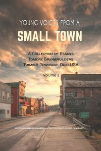 Cover image for Young Voices from a Small Town