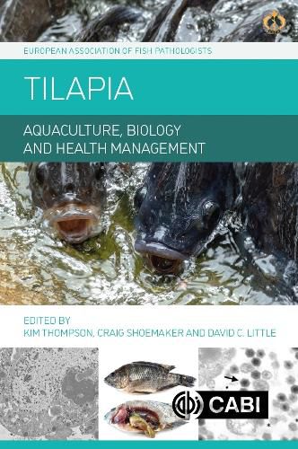 Cover image for Tilapia