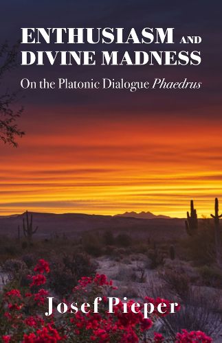 Cover image for Enthusiasm And Divine Madness