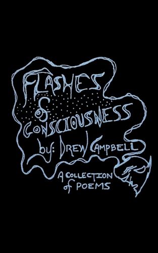Cover image for Flashes of Consciousness