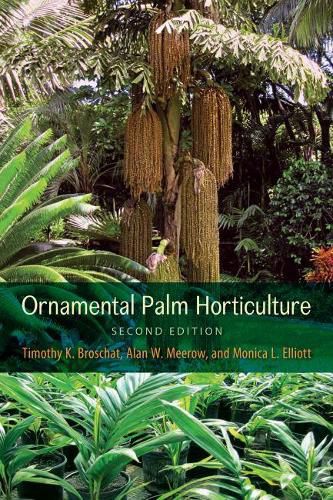 Cover image for Ornamental Palm Horticulture