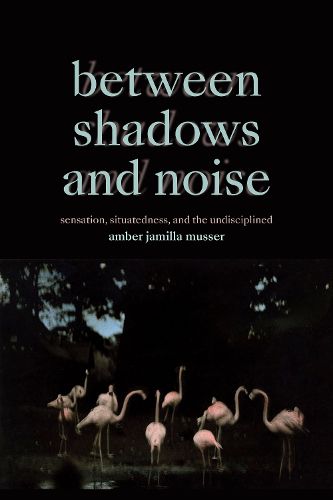 Cover image for Between Shadows and Noise
