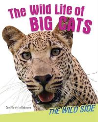 Cover image for The Wild Life of Big Cats