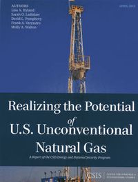 Cover image for Realizing the Potential of U.S. Unconventional Natural Gas