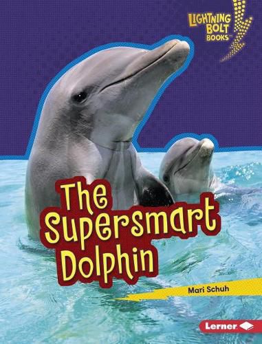 Cover image for The Supersmart Dolphin