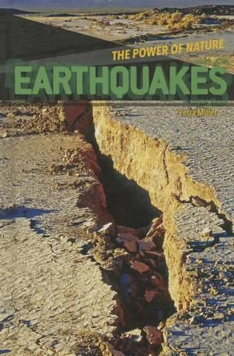 Cover image for Earthquakes