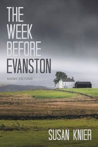 Cover image for The Week Before Evanston