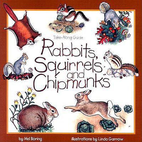 Cover image for Rabbits, Squirrels and Chipmunks