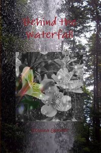 Cover image for Behind the Waterfall