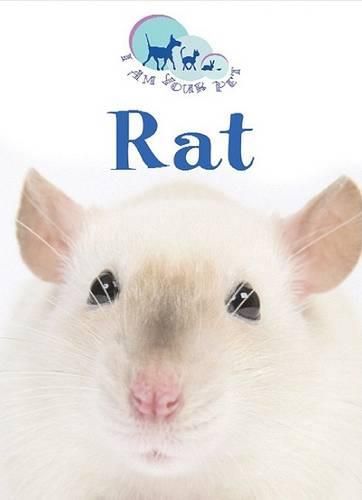 Cover image for Rat