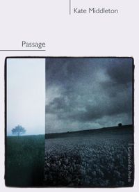 Cover image for Passage