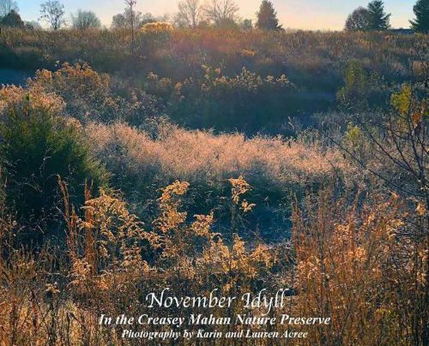 November Idyll: In the Creasey Mahan Nature Preserve