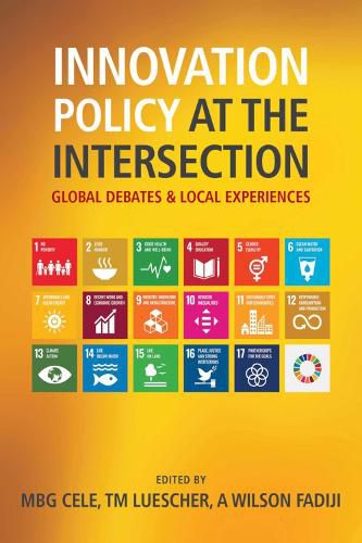 Cover image for Innovation Policy at the Intersection: Global Debates and Local Experiences