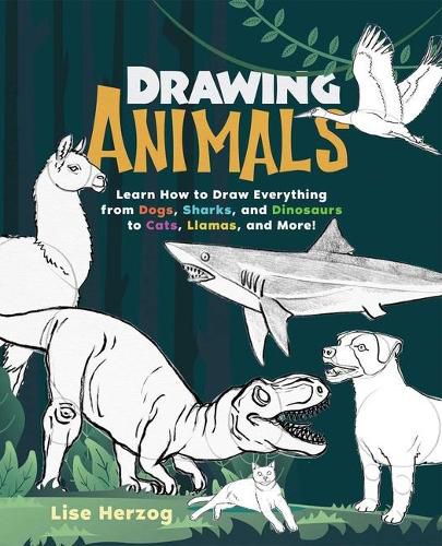 Cover image for Drawing Animals: Learn How to Draw Everything from Dogs, Sharks, and Dinosaurs to Cats, Llamas, and More!