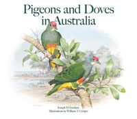 Cover image for Pigeons and Doves in Australia