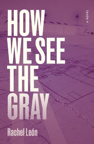 Cover image for How We See the Gray