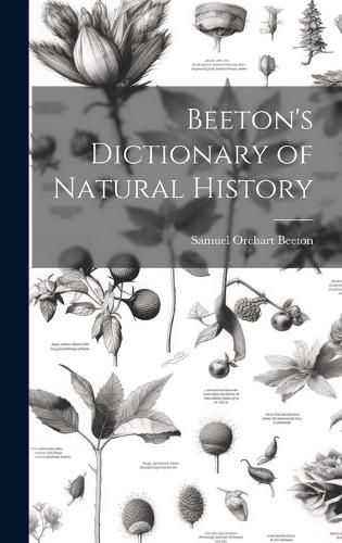 Cover image for Beeton's Dictionary of Natural History