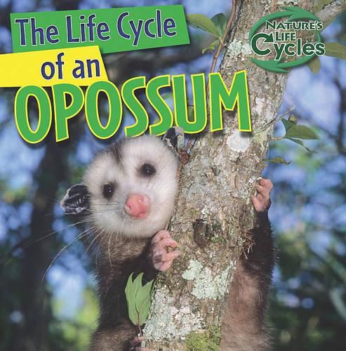 Cover image for The Life Cycle of an Opossum