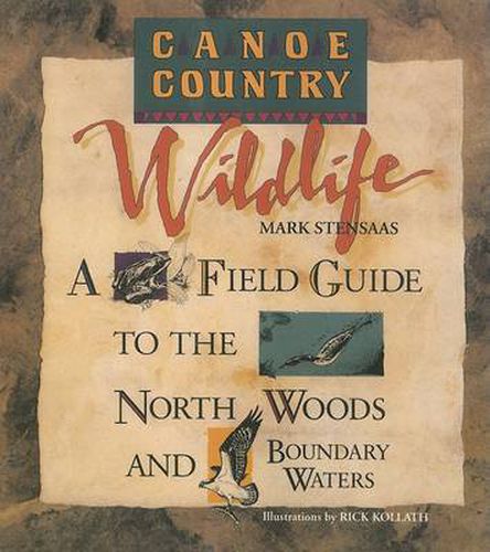 Cover image for Canoe Country Wildlife: A Field Guide to the North Woods and Boundary Waters