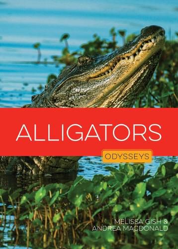 Cover image for Alligators